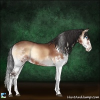 Horse Color:Brown Onyx Splash 