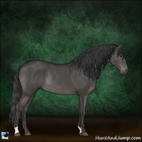 Horse Color:Black Rabicano 