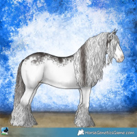 Horse Color:White Spotted Liver Chestnut Rabicano 