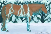 Horse Color:Thunderstruck Chestnut