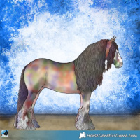 Horse Color:Nacre Buckskin Onyx Sabino Rabicano 