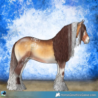 Horse Color:White Spotted Chocolate Buckskin Onyx 