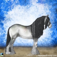 Horse Color:White Spotted Blue Onyx Chinchilla 