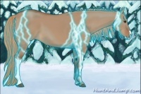 Horse Color:Thunderstruck Red Dun 