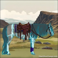 Horse Color:Thunderstruck Grullo