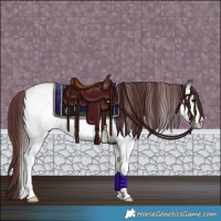 Horse Color:White Spotted Chocolate Smoky Blue Roan 