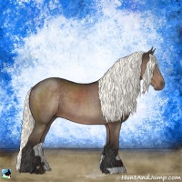 Horse Color:Liver Chestnut Mushroom 