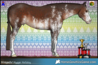 Horse Color:White Spotted Liver Chestnut 