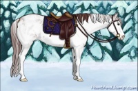 Horse Color:Chocolate Smoky Black Sabino 