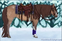 Horse Color:Chocolate Bay Dun