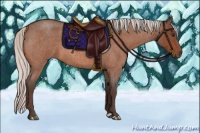 Horse Color:Silver Brown Roan 