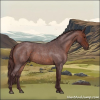 Horse Color:Chocolate Brown Roan 