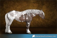 Horse Color:White Spotted Silver Black Mushroom 