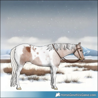 Horse Color:Silver Black Tobiano 
