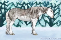 Horse Color:White Spotted Silver Black Ice Sabino Splash