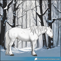 Horse Color:Silver Brown Sabino 