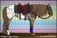 Horse Color:Smoky Grullo Roan Near Leopard 