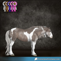 Horse Color:Silver Black Sabino Tobiano Rabicano 