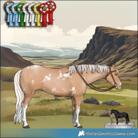 Horse Color:White Spotted Silver Black Pearl