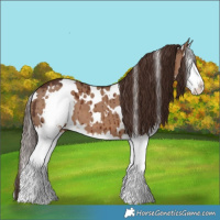 Horse Color:White Spotted Liver Red Dun Splash Brindle
