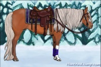 Horse Color:Chocolate Silver Bay 