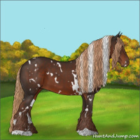 Horse Color:White Spotted Liver Chestnut 