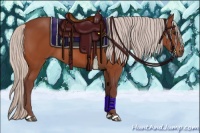 Horse Color:Chocolate Silver Bay