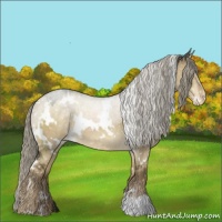 Horse Color:White Spotted Chocolate Palomino Roan Dun Snowflake Varnish 