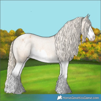 Horse Color:Palomino Roan Splash Varnish 