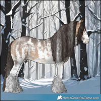 Horse Color:Buckskin Sabino