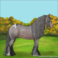 Horse Color:Brown Sabino Varnish 