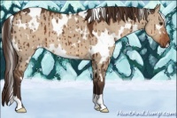 Horse Color:White Spotted Liver Red Dun Brindle 