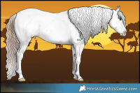 Horse Color:Liver Chestnut Sabino 