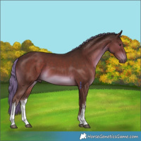 Horse Color:White Spotted Liver Chestnut Mushroom 