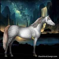 Horse Color:Gray Liver Chestnut 