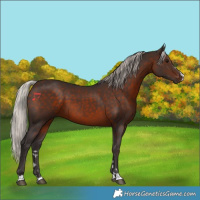 Horse Color:Silver Brown 