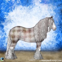 Horse Color:Plaid White Spotted Chocolate Silver Black Chinchilla Rabicano
