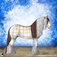 Horse Color:Plaid Chocolate Brown Chinchilla Dun Sabino Tobiano