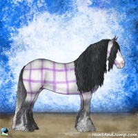 Horse Color:Plaid  Bay Chinchilla Sabino Rabicano 