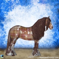 Horse Color:Plaid  White Spotted Chocolate Bay Sabino Rabicano 