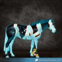 Horse Color:Thunderstruck Cremello Ice Sabino Frame Appaloosa Rabicano 