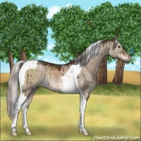 Horse Color:Silver Brown Dun Mushroom Tobiano Brindle 