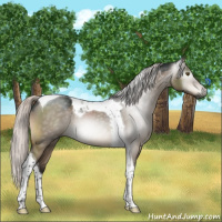 Horse Color:Gray Silver Brown Dun Mushroom Tobiano 
