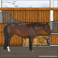 Horse Color:Liver Red Roan 