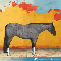 Horse Color:Liver Red Roan 