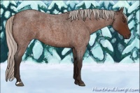Horse Color:Silver Brown Roan 