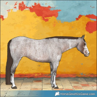 Horse Color:White Spotted Liver Red Roan Rabicano