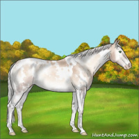 Horse Color:White Spotted Silver Perlino Onyx Mushroom Rabicano 
