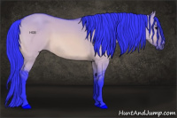 Horse Color:Watercolor Bay Dun 