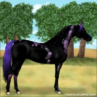 Horse Color:Void Watercolor Liver Red Dun Splash Tobiano 